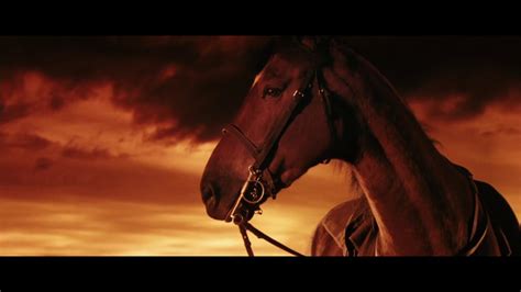 moviesjoy war horse|War Horse (2011) Trailer 2 HD .